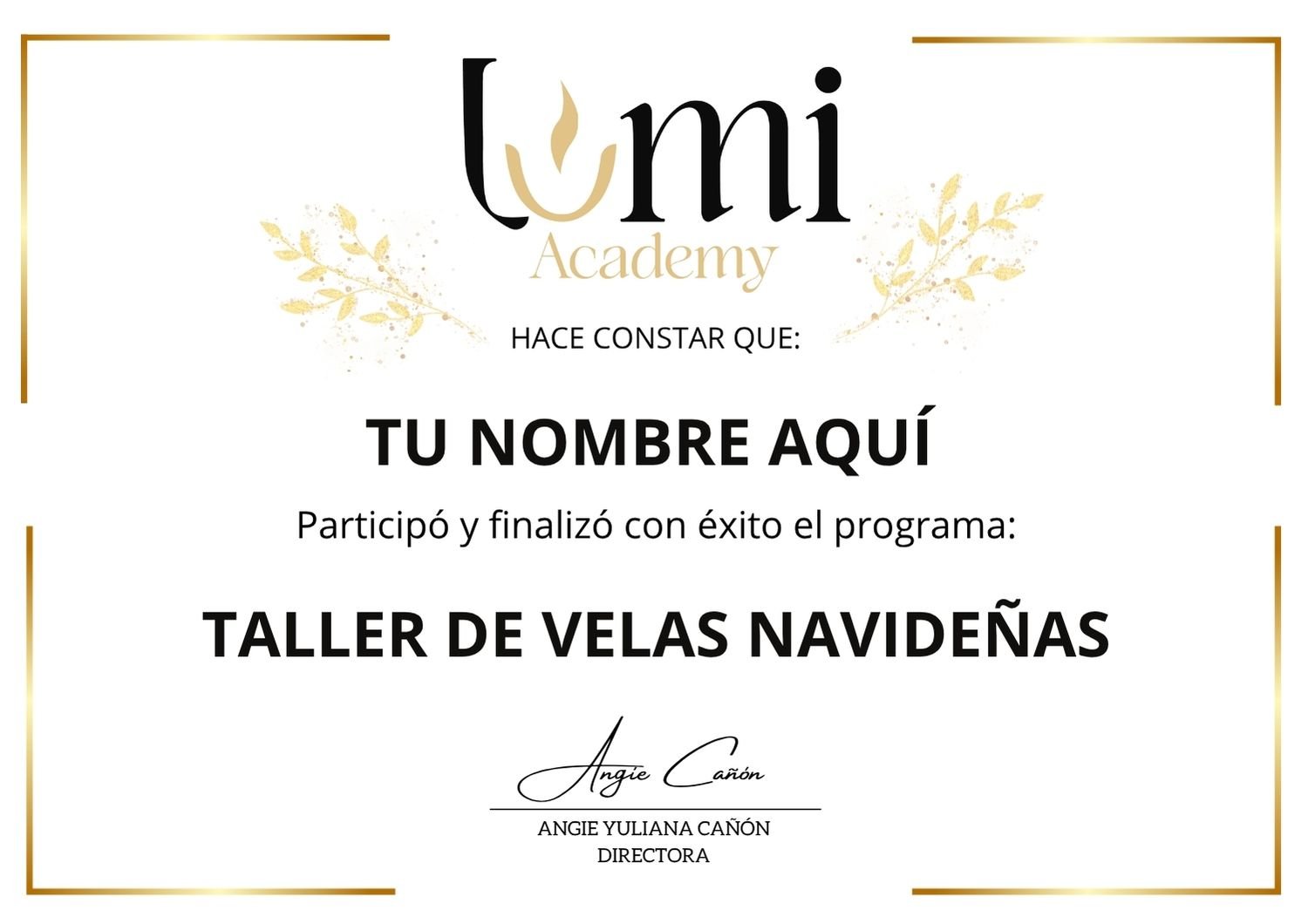 Certificado Oficial Lumi Academy
