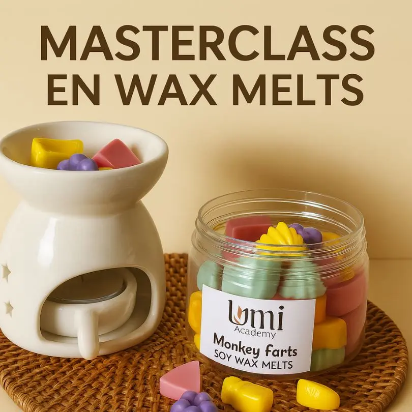 Bono 1: Masterclass en WAX melts